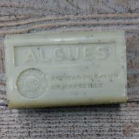 Algues